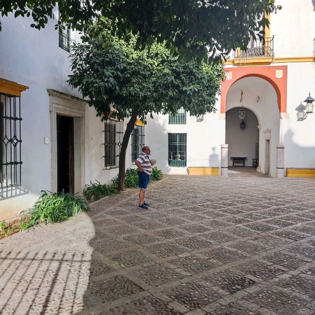 Nice Palace 