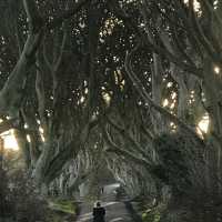 The Game of Thrones route in Northern Ireland