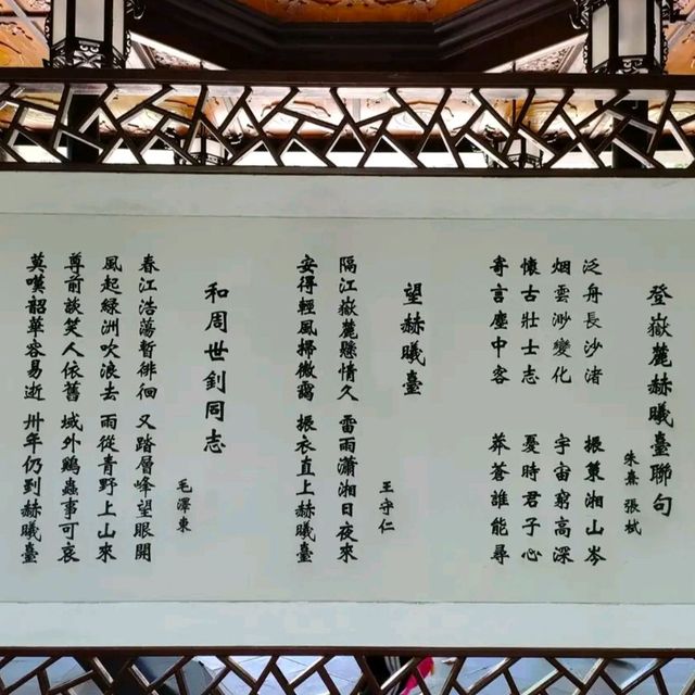 美的力量丨中国美术学院