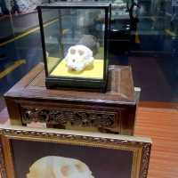 Incredible Minerals and fossils at Shilin