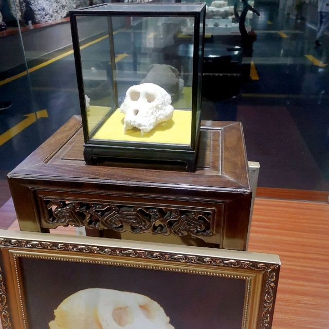 Incredible Minerals and fossils at Shilin
