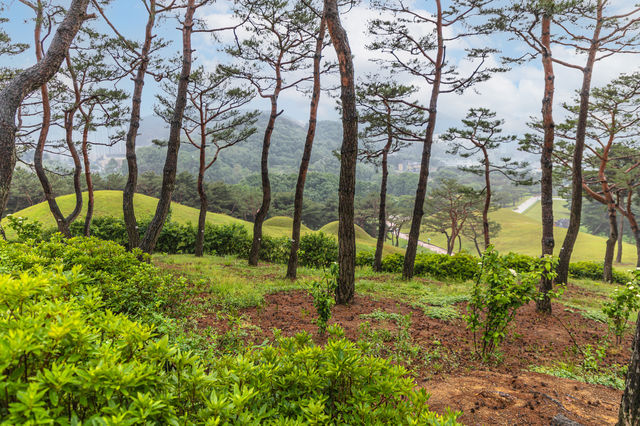 공주 여행지 '공주 무령왕릉과 왕릉원'