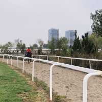 Metropony Club in Tianjin 