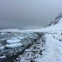 Antarctic Expedition