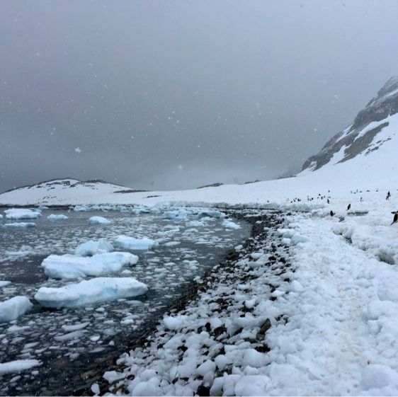 Antarctic Expedition