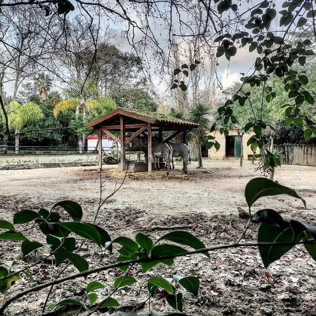 Didn't expect Portugal to have such a great zoo experience.