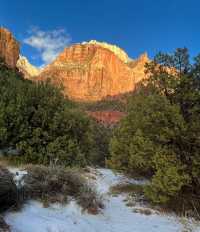 Go to Zion National Park for hiking and exploration.