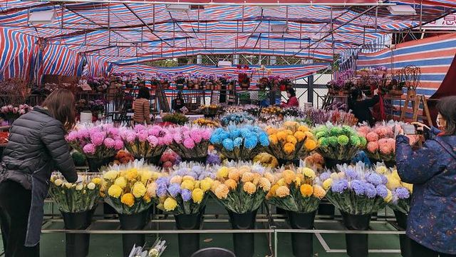 年宵花市｜香港元宵節好去處2024 | 沙咀道遊樂場