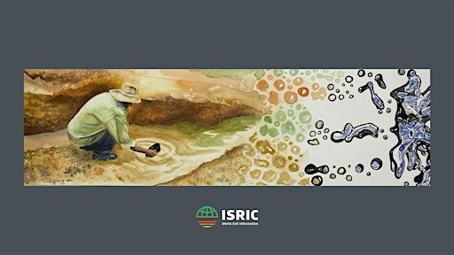 Mercury values in soils & saprolites of Suriname gold-rich greenstone belt | ISRIC World Soil Museum