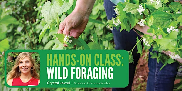 HANDS-ON CLASS - Wild Foraging | Onion Creek Farm