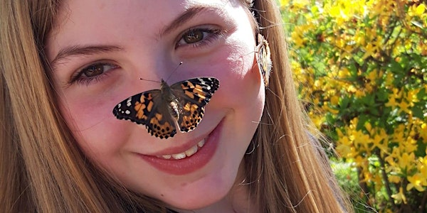 Nature Kids - Pollinator Pandemonium | Killiecrankie Visitor Centre and Jacobite Café