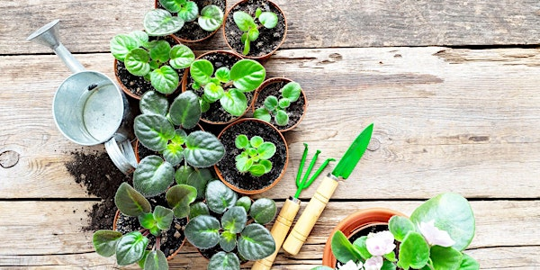 ELoT Plant Propagation and Swap | Griffen Fitness