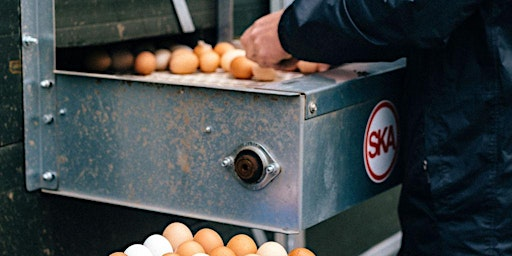 Pastured Poultry - Practical morning | SY8 3AR