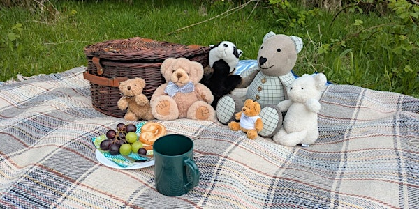 Teddy Bears Picnic at Lunt Meadows (10am-12pm) | Lunt Meadows