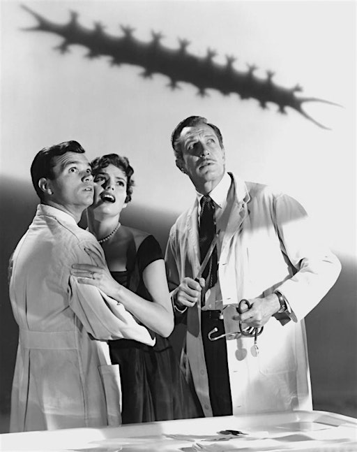 A (Bad) Night at the Movies | Ottawa Public Library, Main Branch - Auditorium