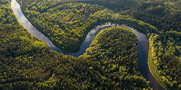 Climate Justice, Finance and Our Common Future at COP30: Panel Discussion | Wolfson College, University of Cambridge