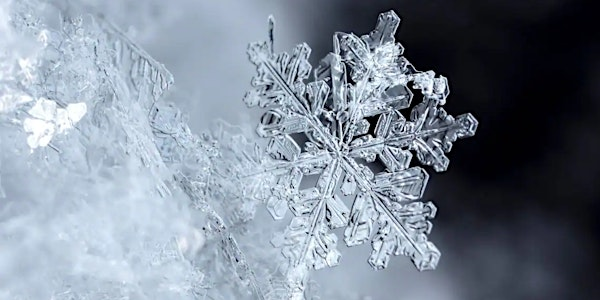 SES Presents—Christmas Mixer | Boffins Public Gardens