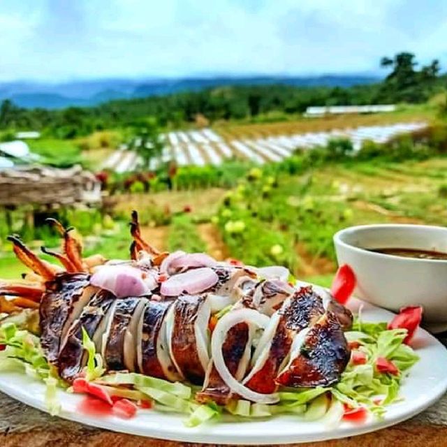 Villaconzoilo Farm restaurant 