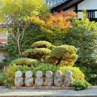 【紅葉巡り】京都ー東福寺