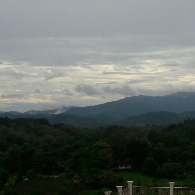 วัดห้วยปลากั้ง ~ Chiang Rai
