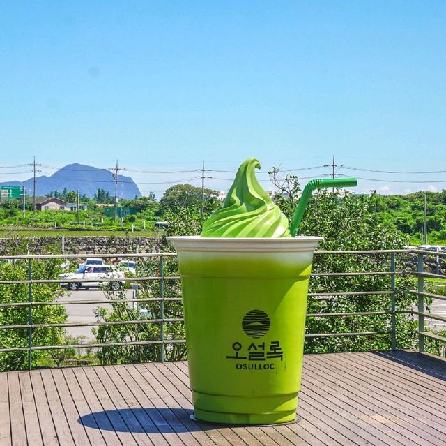 제주도 오설록 티 뮤지엄, 녹차밭보며 힐링하기