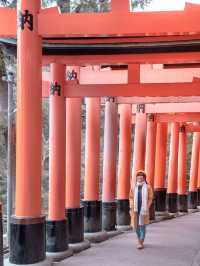 Never-ending Trails of Torii Gates! ⛩