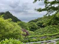 マイナスイオンたっぷり『白糸の滝』