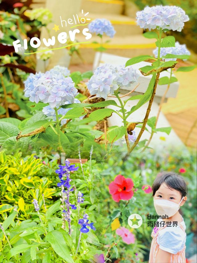 走進童話世界