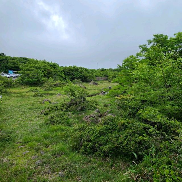 1100고지 습지탐방로