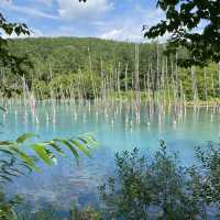 【北海道】どこを撮っても絵になる美しい池