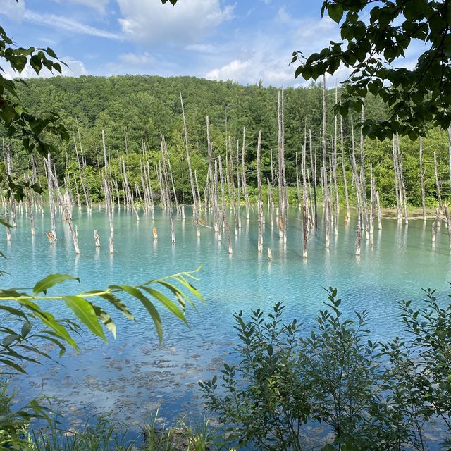 【北海道】どこを撮っても絵になる美しい池