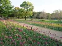 東京賞花好去處｜花卉節🤩🤩🌹🌺