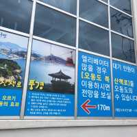 여수에서 해상케이블카 타고 오동도 둘러보기! 