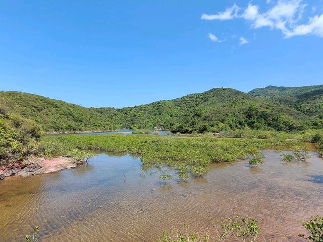 人間天堂~三椏🏞️
