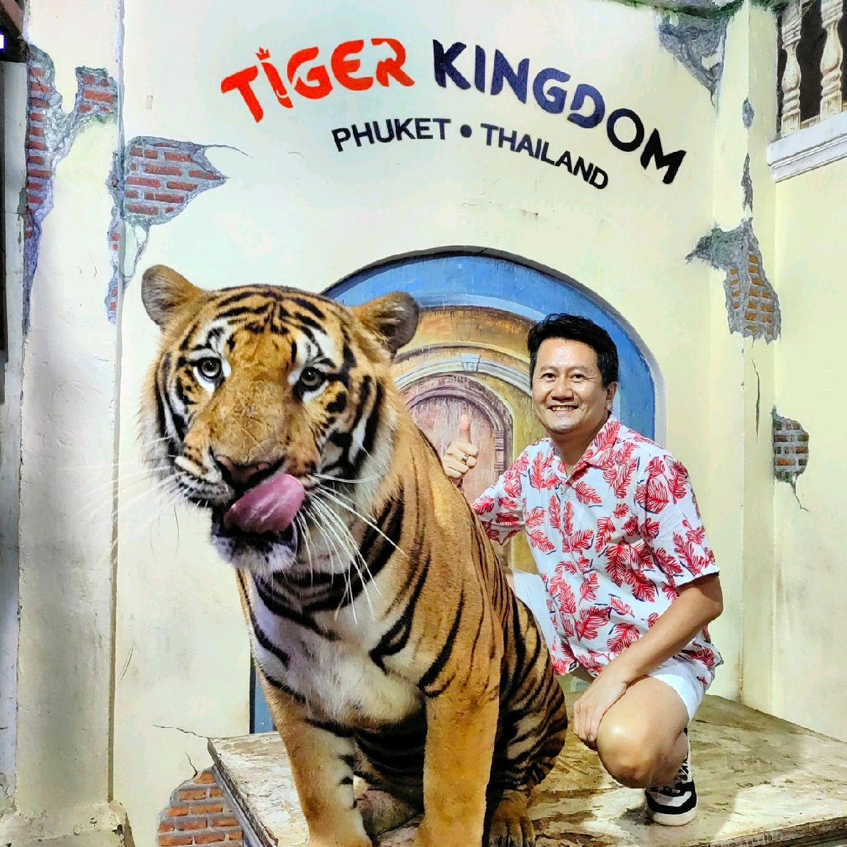 Hugging New Beastie in Tiger Kingdom Phuket. Phuket Travelogues Hugging New Beastie in Tiger Kingdom Phuket. Phuket Travelogues