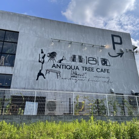 店名🏠 ANTIQUA TREE CAFE (アンティカ | Trip.com 和泉市 店名🏠 ANTIQUA TREE CAFE (アンティカ | Trip.com 和泉市