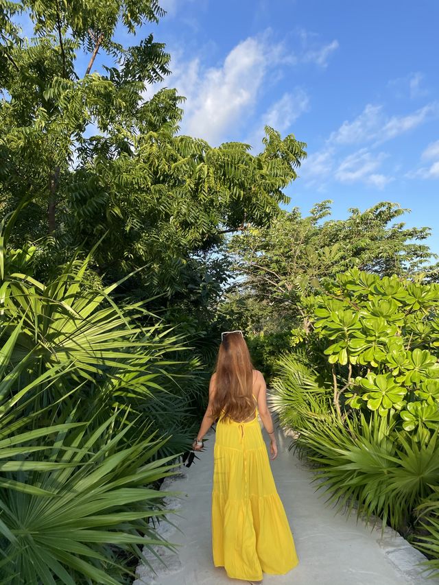 정글 속 호텔을 찾는다면👀스칼렛아르떼💚