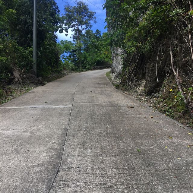 Tumalog Falls in Oslob 🤍