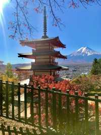 เจดีย์แดงชูเรโตะ (Chureito Pagoda) 