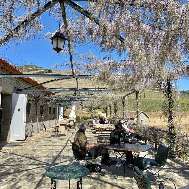 포르투갈🇵🇹 한적한 시골마을에서 포트와인 마시기🍷