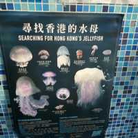 海下灣海洋生物中心