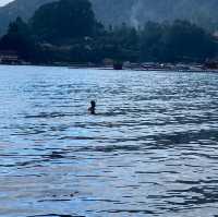 世界最大のカルデラ湖　トバ湖　