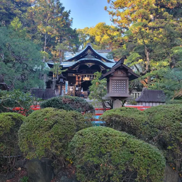 岡崎神社，愛兔者🐰記得去參拜!