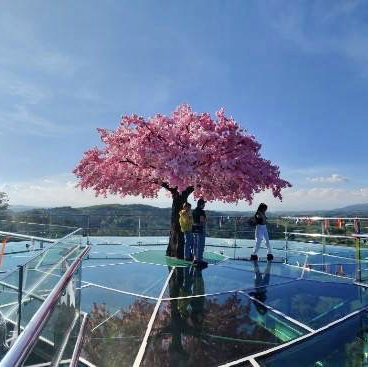 สกายวอล์คผาเงาสามแผ่นดิน วัดพระธาตุผาเงา 