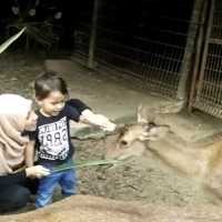 Vacation for family & kids!!!!!