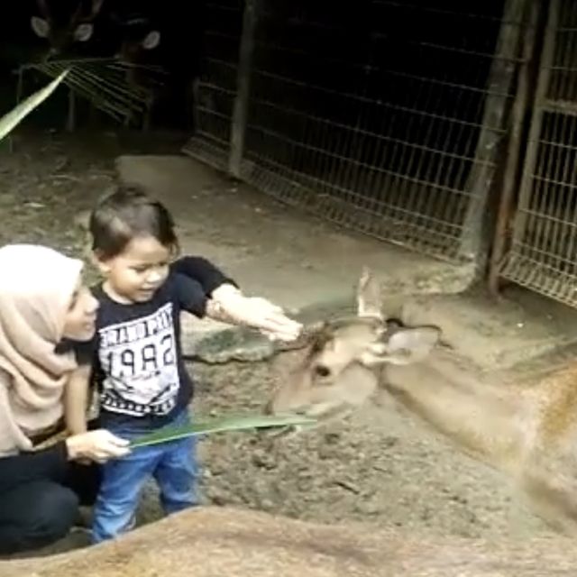 Vacation for family & kids!!!!!