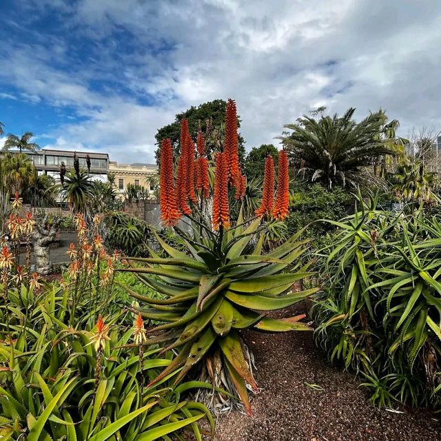 Royal Botanic Garden Sydney
