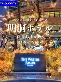【ソウル・明洞】創業100年を超える憧れの老舗ホテル✨💙