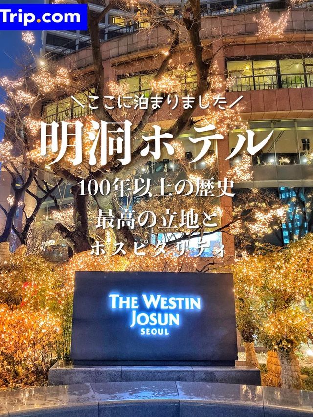 【ソウル・明洞】創業100年を超える憧れの老舗ホテル✨💙