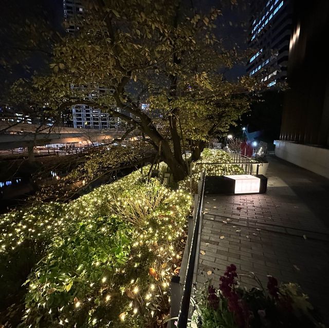 【東京】紀尾井町周辺のイルミネーション